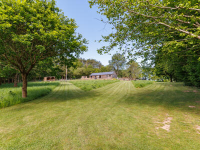 Picture 17